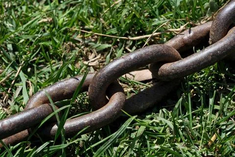 Rusty chain on green grass, close-up. Foto stock