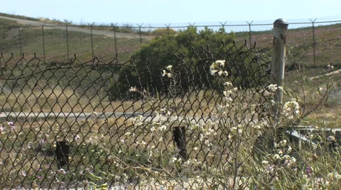 Rusty Chain Link Fence with Foreground Flowers and Field in Distance Stock Footage 4279811