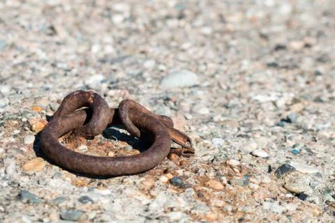 Rusty chain Stock Photos