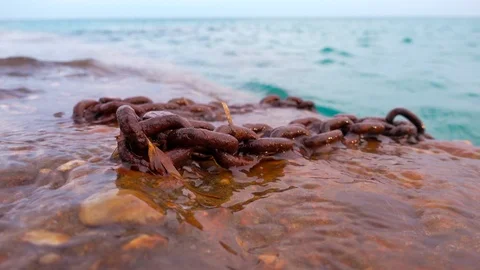 A rusty chain on the pier by the sea Stock Footage 95999085