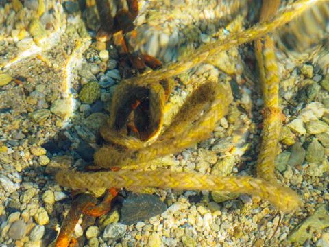 A rusty chain in the sea. Foto stock