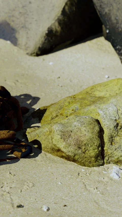 Rusty chains and stones on sandy beach during daylight hours Stock Footage 335970118