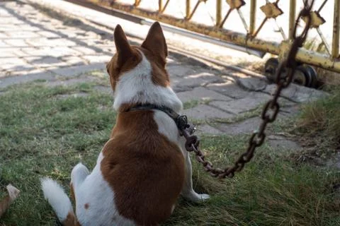 Rusty chains Stock Photos