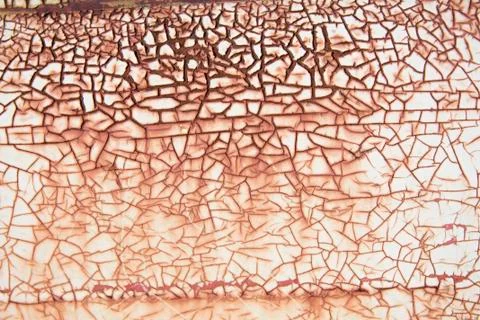Rusty cracked paint background Foto stock