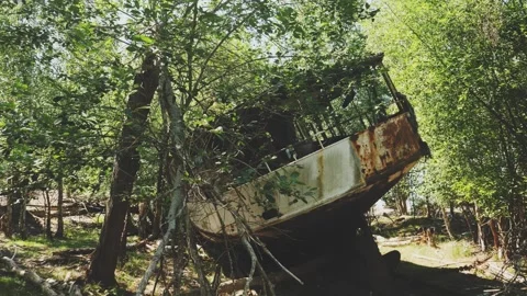 Rusty decaying shipwreck in green forest, Dolly Stock-Footage 246853625