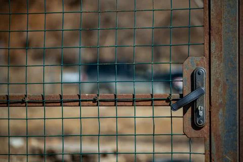 Rusty door, gate closed on a handle-lock with a metal mesh on the street Stock Photos