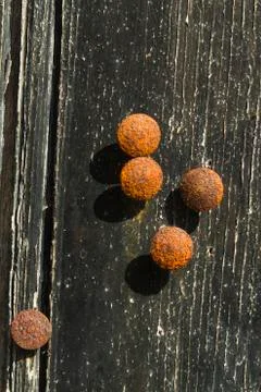 Rusty drawing pins or thumb tacks against a distressed wood background, macro Stock Photos
