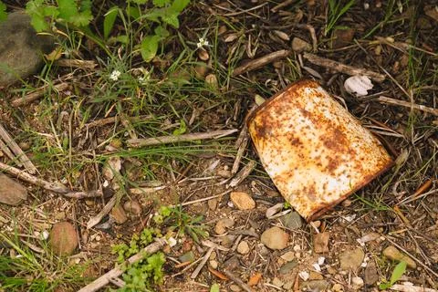 Rusty drink can dumped in the woods. Stock Photos