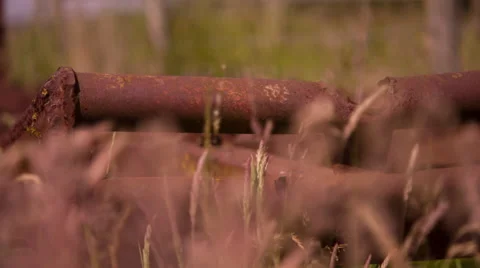Rusty Equipment in a Field 1 Stock Footage 51440334