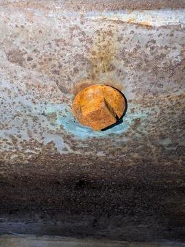 Rusty Fastener On Painted Surface Indicates Maintenance Activity Stock Photos