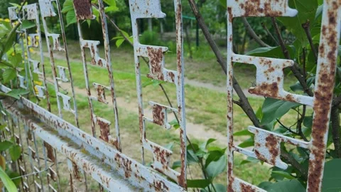 Rusty fence at the dacha close-up 库存影片 306164034