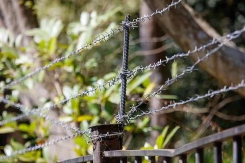 Rusty fence post with barbed wire strands Stock Photos