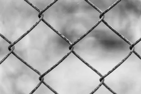 Rusty fence Rabitz Photos