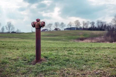 Rusty fire hydrant in a field with green grass. Stock Photos