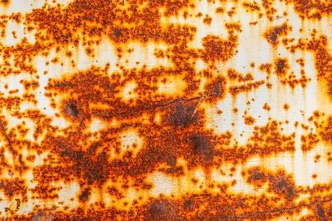 Rusty flat sheet steel with peeling white paint 库存照片