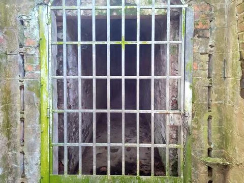Rusty gate covered in green moss Stock Photos