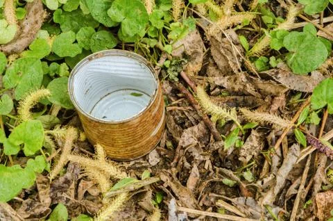 Rusty gold and white colored tin in grass Stock Photos