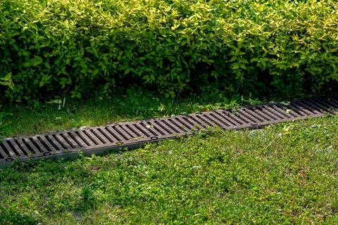 Rusty grate drainage system on lawn with green grass and foliage bushes. Stock Photos