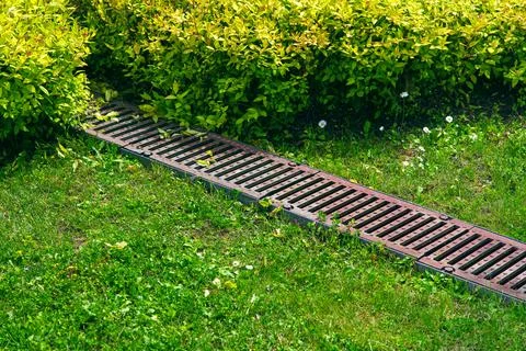 Rusty grate drainage system on turf lawn. Stock Photos