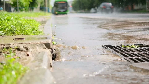 Rusty grate of storm sewers during the rain and sun. City gutter for water flow. Stock Footage 157101516