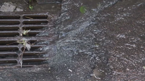 Rusty grate of storm sewers during the rain and sun. City gutter for water flow Stock Footage 165972319
