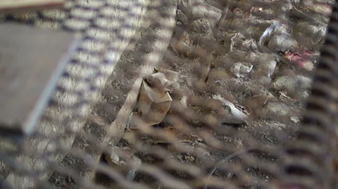 Rusty grating, half, transparent, devastation Video stock 57324199