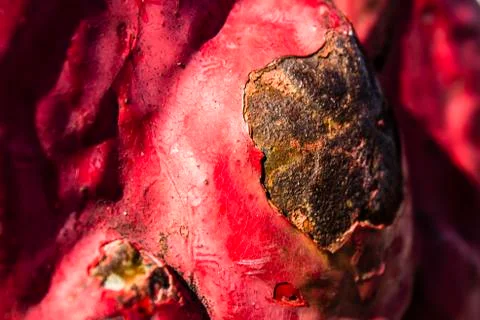 Rusty hydrant Stock Photos