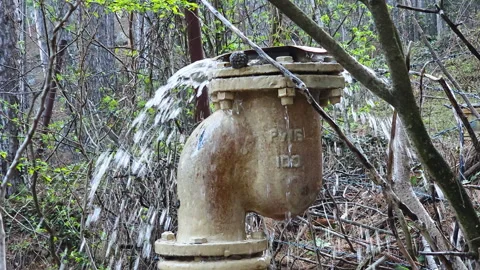 Rusty industrial pipe with a flange leaking water into a natural forest Stock Footage 335270831