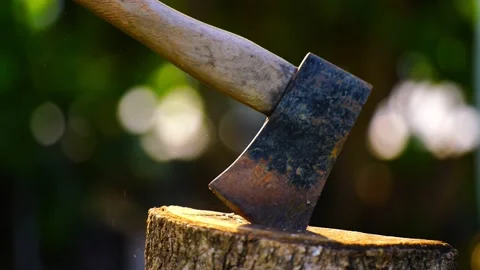 Rusty iron ax attached to a tree log. Stock Footage 236114118