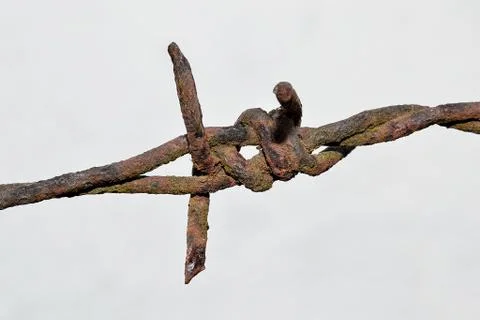 Rusty Iron Barb Stock Photos