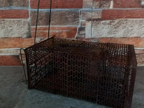 Rusty iron cage rat trap on gray tiled floor Stock Photos