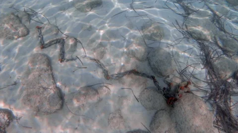 Rusty iron chain at bottom of the sea Vídeo Stock 219788295