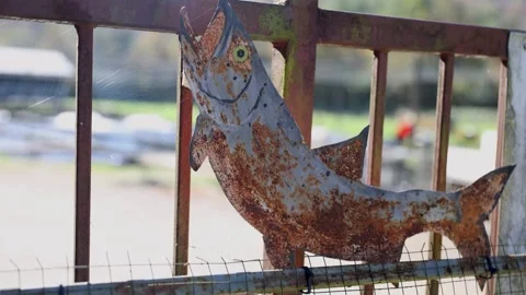 Rusty iron fish Stock Footage 289682952