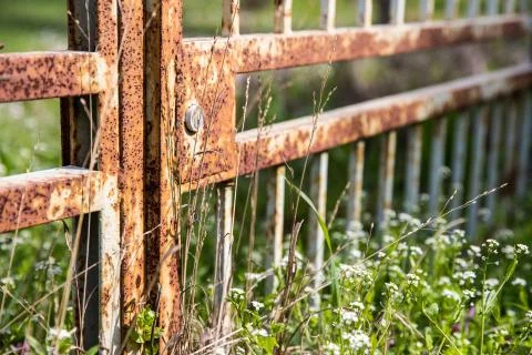 Rusty iron gate surrounded by green grass and flowers Stock Photos
