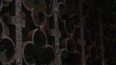 Rusty Iron Grille and Ivy. Stock Footage 262638973