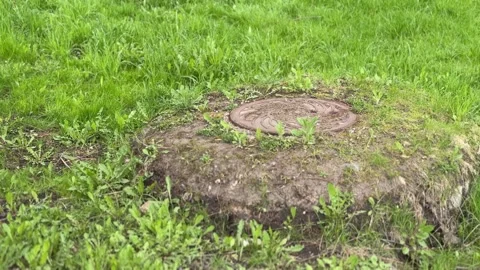 A rusty iron hatch with a pattern covered dirt above an observation well is Vidéo 299620582