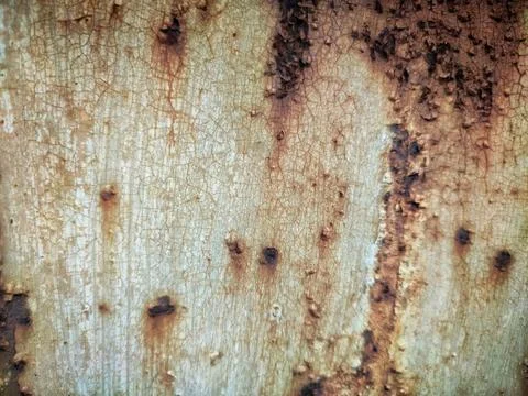 Rusty iron, metal, building, pattern Stock Photos