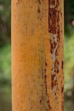 Rusty iron post closeup Stock Photos