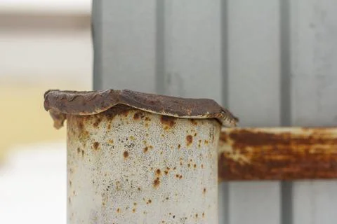 A rusty iron post, the support of a metal fence. Stock Photos