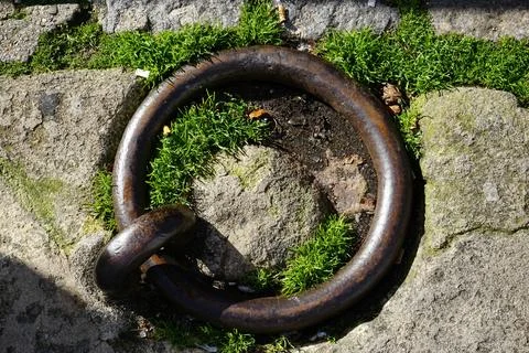 Rusty iron ring on stone with moss, close up of weathered metal Stock Photos