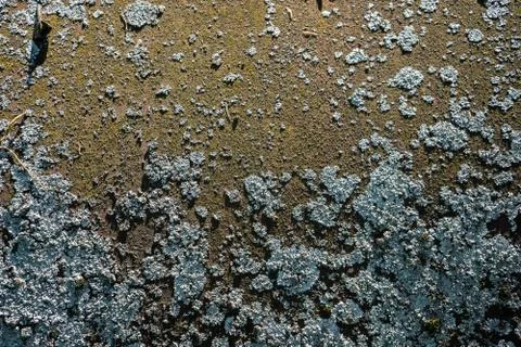 Rusty iron texture on background. Old metal texture Stock Photos