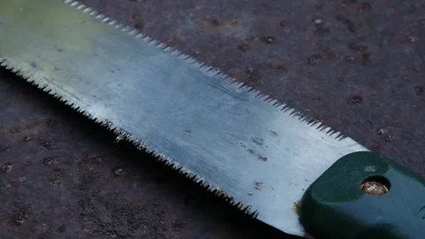 Rusty Japanese Pull Saw on Ground : Old Nokogiri Woodworking Tool Stock Footage 325420206