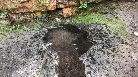A rusty leaking faucet from a poor plumbing system Stock Footage 316970896