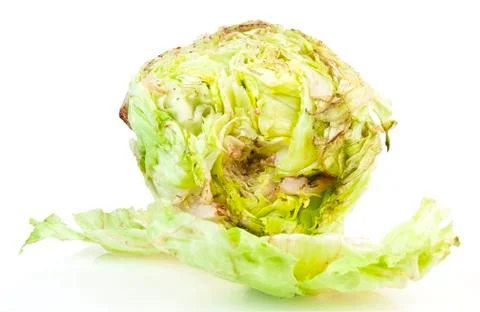 Rusty lettuce Stock-Fotos