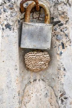 A rusty lock is on a wall Foto stock