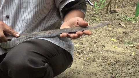 Rusty machete sharpness test Stock Footage 203879632