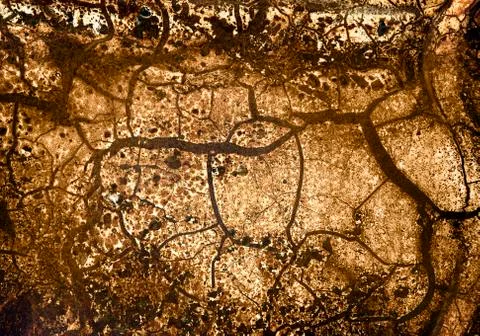 Rusty metal background. Stock Photos