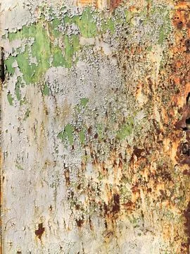 Rusty metal background with streaks of rust. Corroded metal background. Rus.. Stock Photos