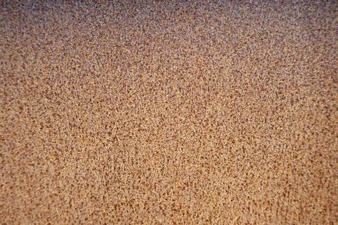 Rusty metal background texture in full frame Stock Photos