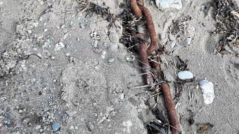 Rusty metal chain lying on sandy beach with small stones and seawee Stock Footage 331821466